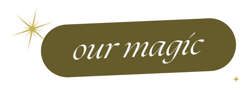image-removebg-preview (33)